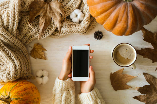 istock Autumnal top view composition with fall season symbolics on textured background. 1176523944