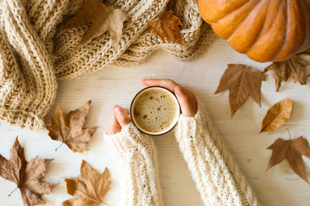 istock Autumnal top view composition with fall season symbolics on textured background. 1176523970