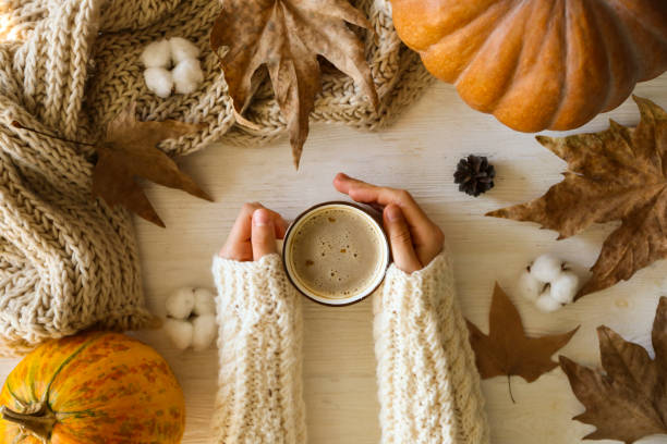 istock Autumnal top view composition with fall season symbolics on textured background. 1176523990