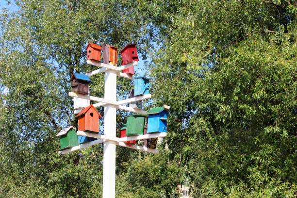 istock birdhouses, Park, trees, lots, summer, Sunny 1176524482