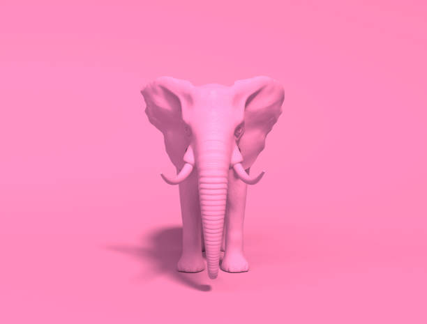 istock One plain pink realistic elephant isolated on a pink background. Creative conceptual monochrome illustration with copy space. 3D rendering. 1176525596