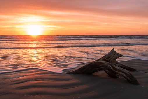 Driftwood washed up with a vibrant sunset behind it overlooking the Gulf of Mexico from Corpus Christi Texas