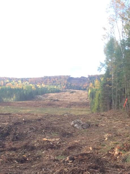 istock Electric transmission line preparation 1176528767