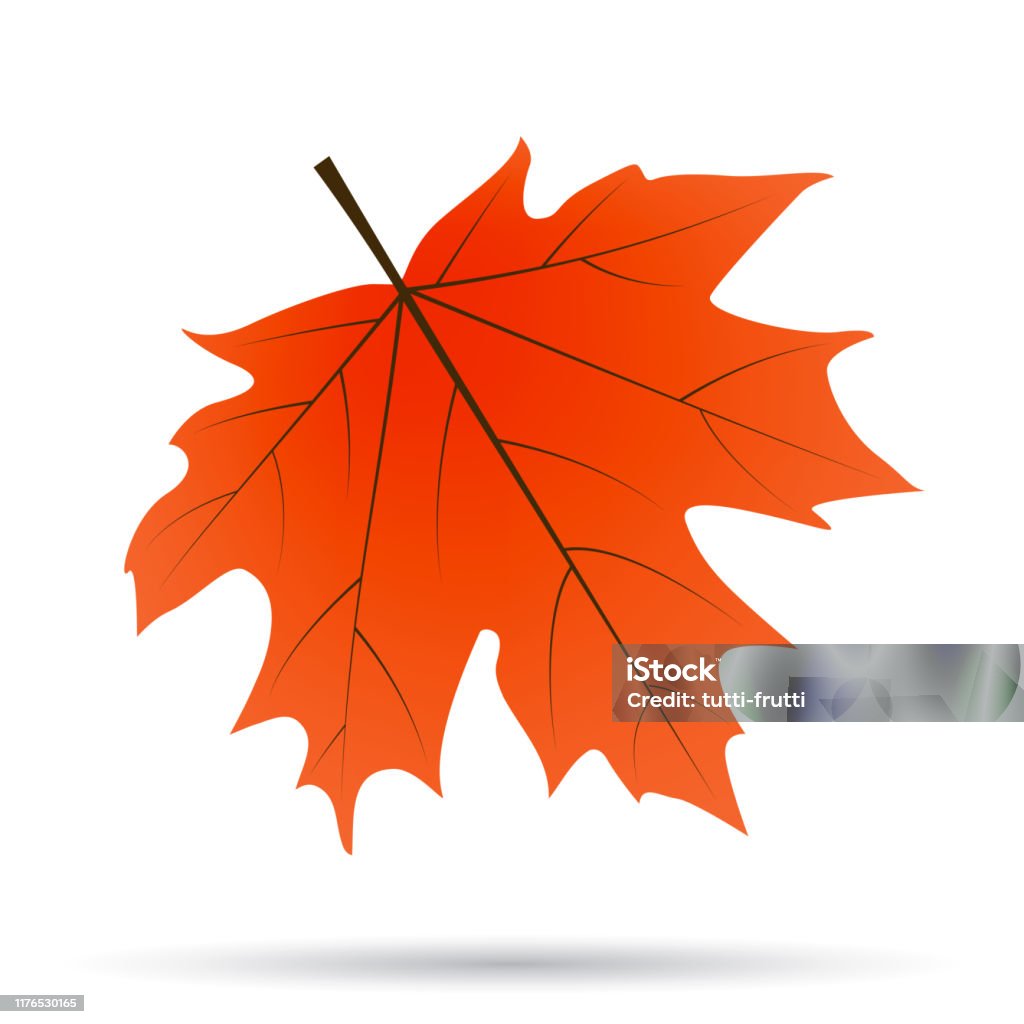 Fall Leaf Bitmap Vector Flat Fall Autumn Leaf Isolated On White Background Stock ...