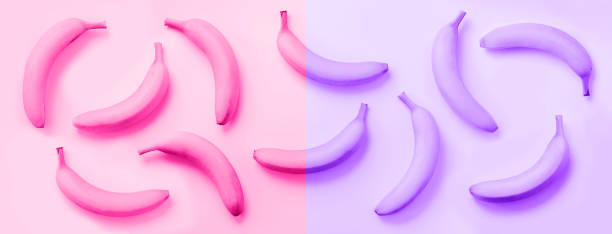 istock Chaotic colorful fruit pattern. Bananas over neon violet and pink color background. Banner. Top view. Pop art design, creative summer concept. Minimal flat lay style. 1176532049