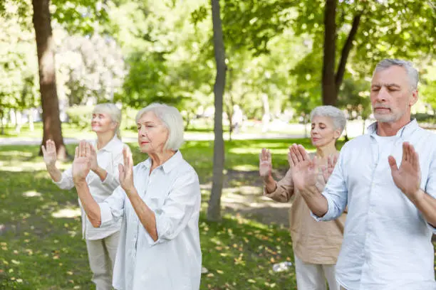 Elderly people meditating in the park stock photo