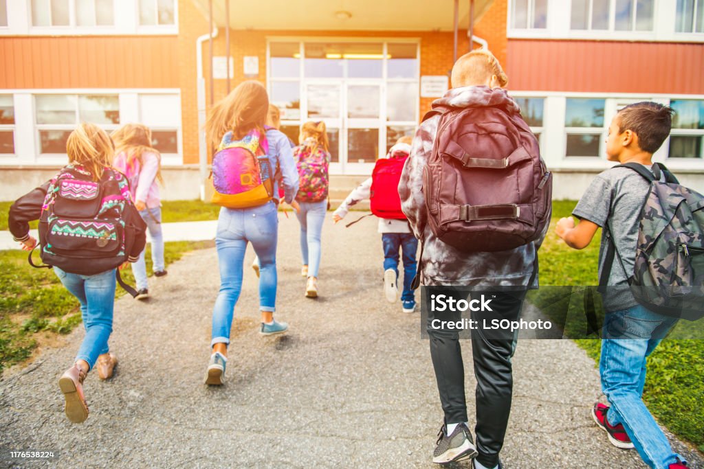 grupp av barn gå till skolan, back View - Royaltyfri Utbildning Bildbanksbilder