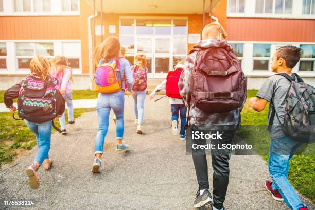 Grupp Av Barn Gå Till Skolan Back View-foton och fler bilder på Utbildning - Utbildning, Barn, Skolgård