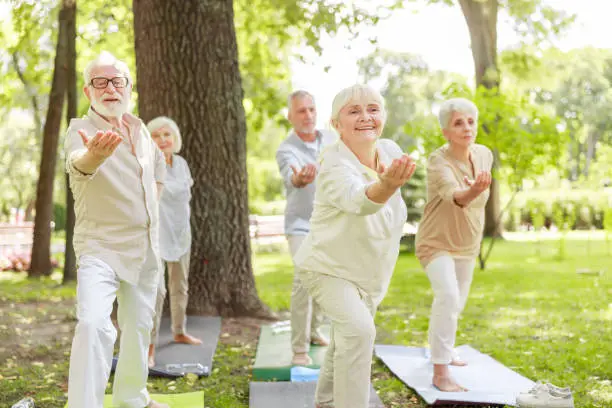 Joyful senior people doing chi kung exercise outdoors stock photo