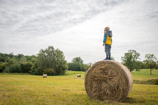Little boy standing on a hay bale in the plateau and looking away. Slovenia, Europe.