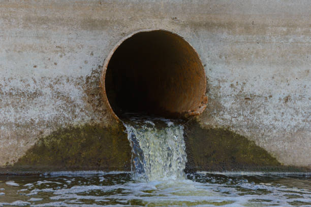 istock Sewer water spills out of an old rusty pipe 1176545248