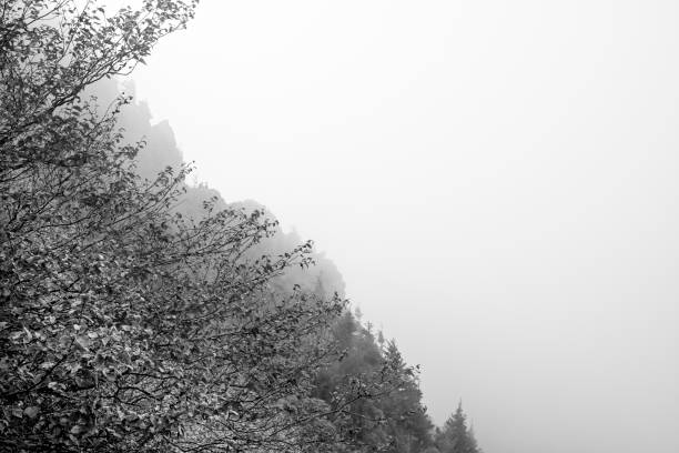 o parque nacional das grandes montanhas fumarentos visto da trilha de appalachian - panoramic tennessee georgia usa - fotografias e filmes do acervo