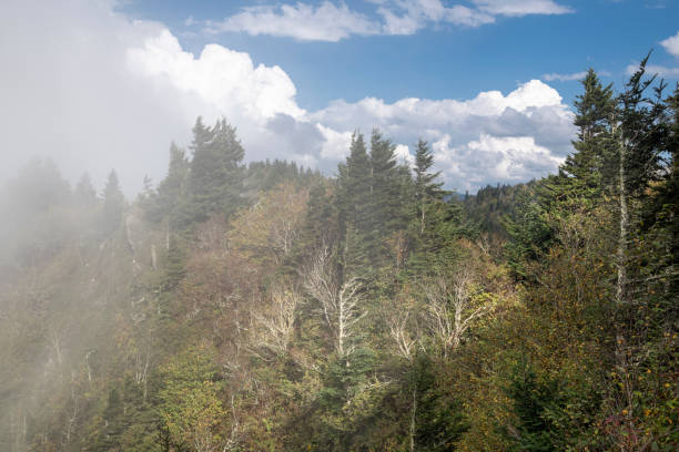 o parque nacional das grandes montanhas fumarentos visto da trilha de appalachian - panoramic tennessee georgia usa - fotografias e filmes do acervo