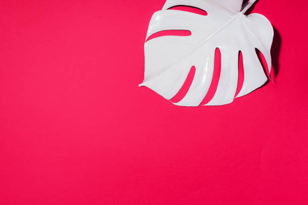 istock Summer composition. White tropical palm leaves on pink background. Summer concept. Flat lay, top view, copy space 1176552268