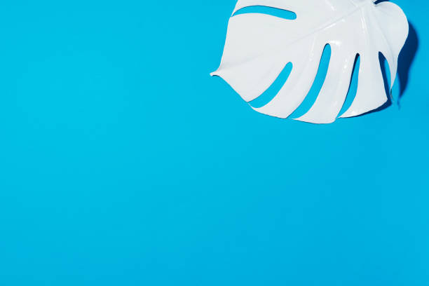 istock Summer composition. White tropical palm leaves on blue background. Summer concept. Flat lay, top view, copy space 1176552353