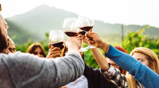 istock friends doing a wine tasting all together 1176555138
