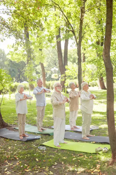 Group of senior people practicing chi kung on sunny day in the park stock photo