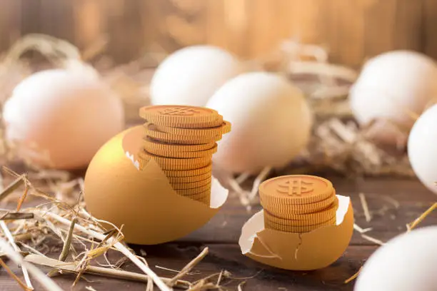 Photo of invest in gold egg