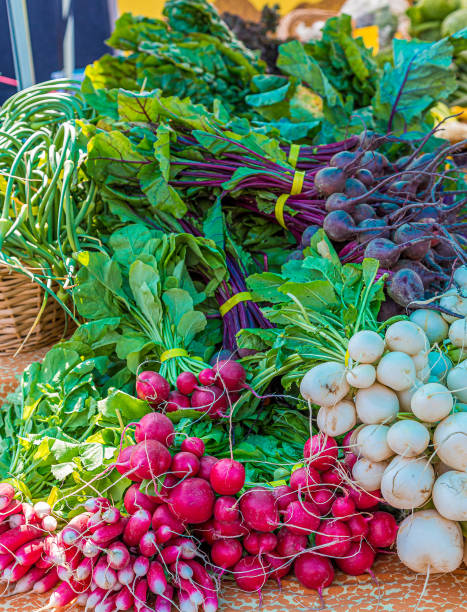 istock Four Kinds of Radishes 1176560241