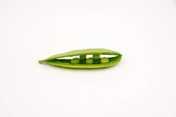 istock Snap pea pod, also known as the sugar snap pea 1176560524