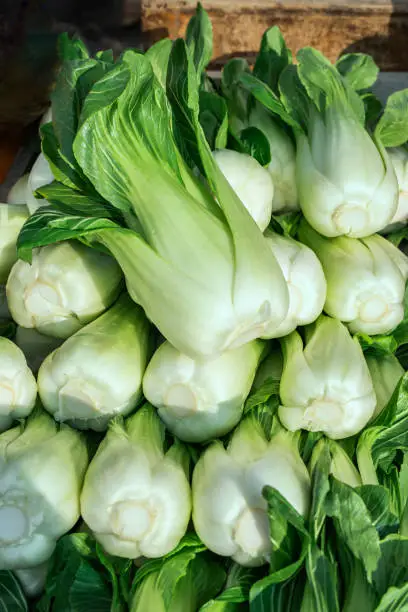 Food background of Chinese cabbage Bok choy at sunny morning market in spain. Close up shot with selective focus