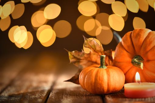 Thanksgiving still life with pumpkins and illuminated background on a rustic wooden table