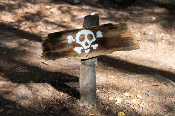 Wooden board with painted white skull, danger warning sign