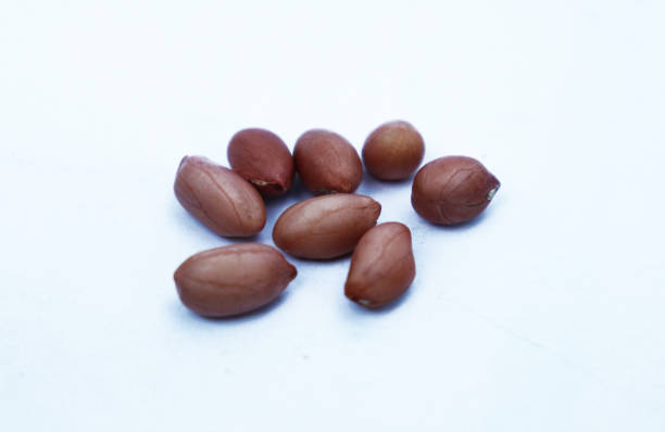 istock Peeled Peanut Isolated On A White Background 1176565968
