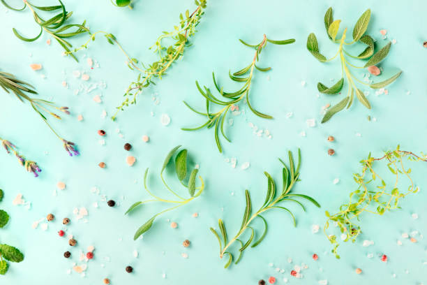 istock Culinary herbs and spices, shot from the top on a teal blue background, a flat lay cooking pattern 1176567417