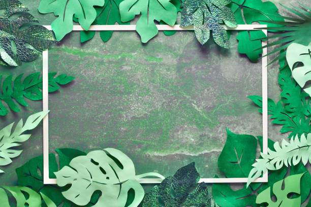 istock Paper craft background, frame with exotic tropical leaves with text space on dark 1176567468