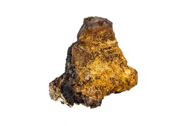 Photo of Over 20 years old big wild natural organic chunk of chaga mushroom, Inonotus obliquus isolated on white background. Gathered from birch tree trunk in pure fores in autumn.