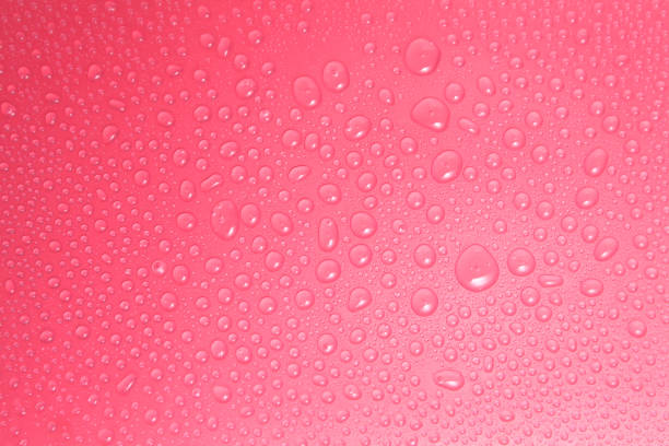 istock Close up water drops on pink background, Water drop in macro photography 1176568049