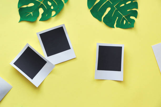 istock Photo frame mockup design, flat lay with three paper frames on yellow background with exotic monstera leaves 1176569702