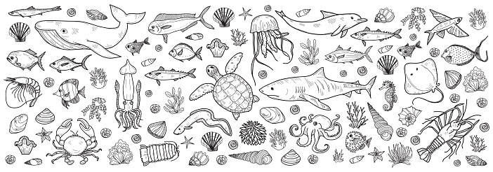 Banner with cute hand drawn marine animals, fish and shells. Vector illustration.  May use as coloring page.