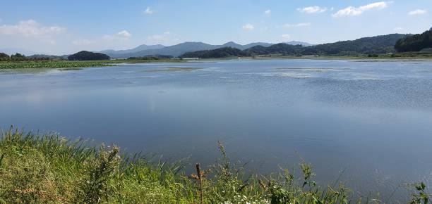 istock View of the lake 1176573254