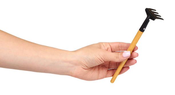 istock Hand with little rake, wooden handle, decorative tool. 1176575628