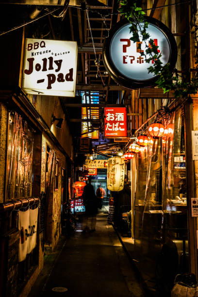 istock Kichijoji harmonica alley 1176577168