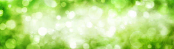 Green foliage bokeh with shimmering highlights