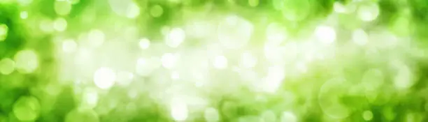 Panoramic background of green foliage bokeh with beautiful shimmering highlights