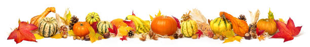 다채로운 가을 장식, 엑스트라 와이드 포맷 - chestnut pumpkin leaf autumn 뉴스 사진 이미지