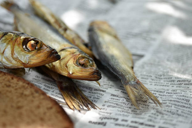 istock Golden smoked fish and bread on newspaper. 1176584740