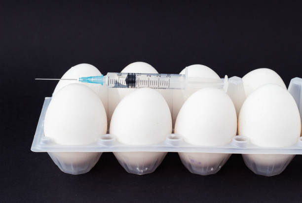 in an egg on a black background, a syringe is injected with a hormone and supplements, a close-up, testicles and antibiotic - injecting healthy eating laboratory dna imagens e fotografias de stock