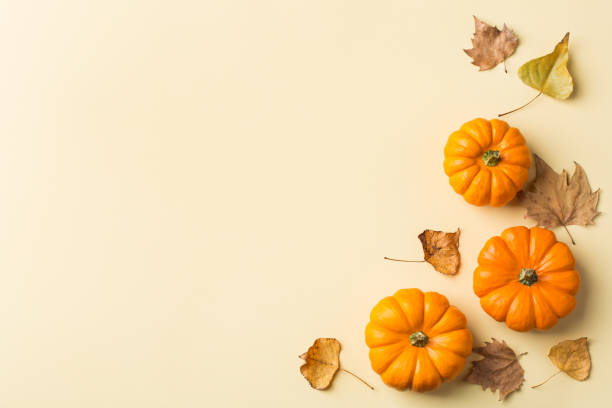 istock Autumn fall thanksgiving day composition with decorative orange pumpkins 1176586404