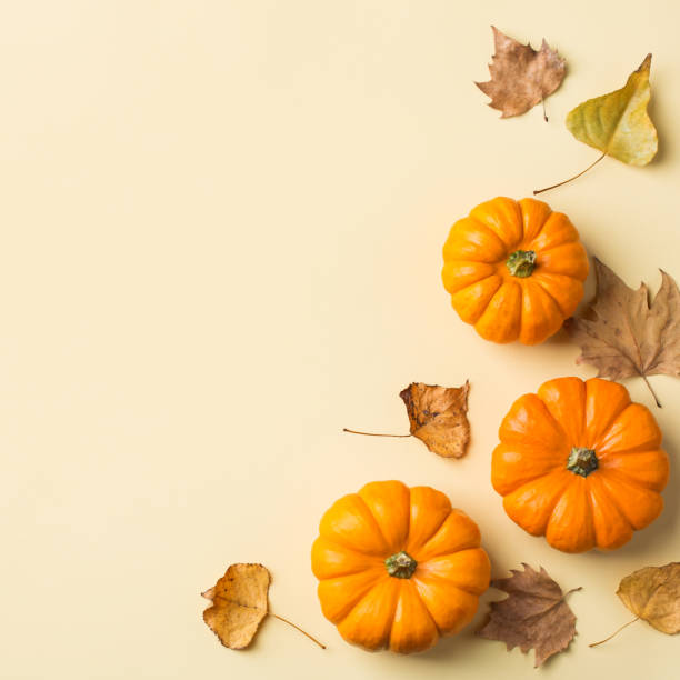 istock Autumn fall thanksgiving day composition with decorative orange pumpkins 1176586405