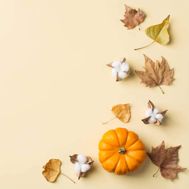 istock Autumn fall thanksgiving day composition with decorative orange pumpkins 1176586412