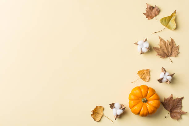 istock Autumn fall thanksgiving day composition with decorative orange pumpkins 1176586414
