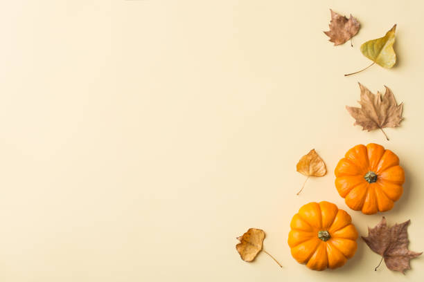 istock Autumn fall thanksgiving day composition with decorative orange pumpkins 1176586431