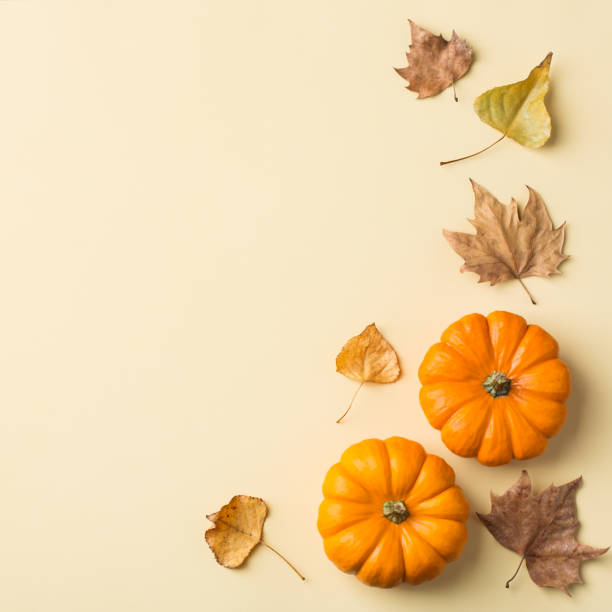 istock Autumn fall thanksgiving day composition with decorative orange pumpkins 1176586434