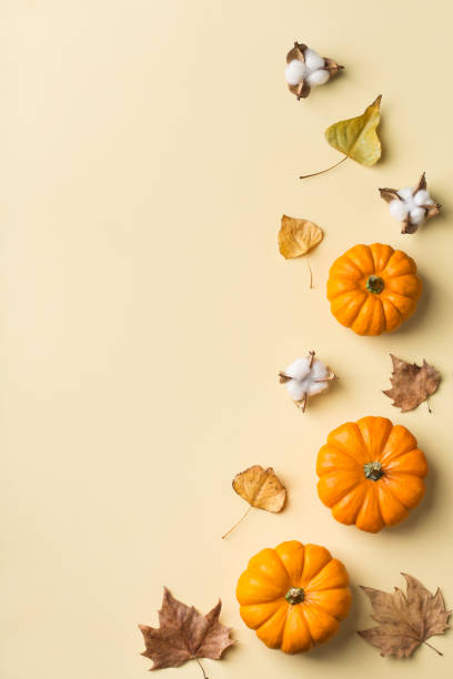 istock Autumn fall thanksgiving day composition with decorative orange pumpkins 1176586441