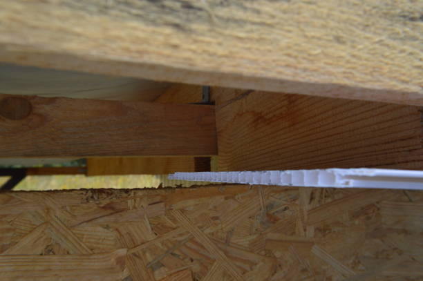 istock Polyvinyl chloride soffits for roof insulation 1176589274